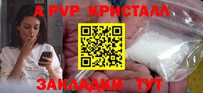 гашик Моздок