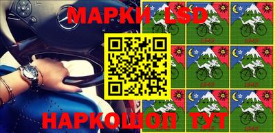 гашик Моздок