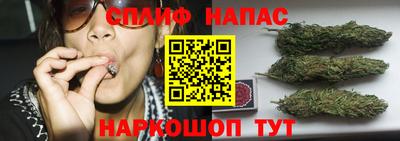 гашик Моздок