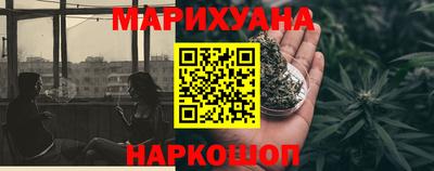 гашик Моздок