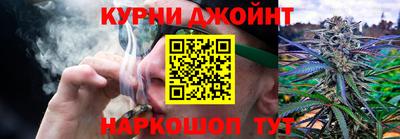 гашик Моздок