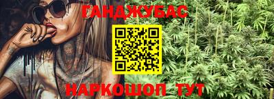гашик Моздок