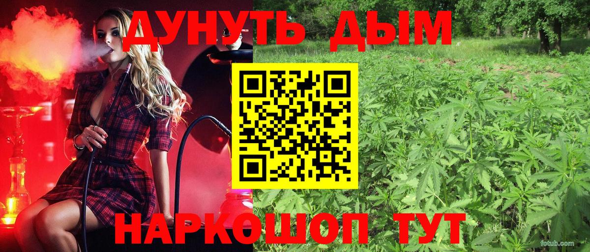 Бошки Шишки планчик  Канабис OG Kush  Бошки марихуана SATIVA & INDICA  Вход с VPN  Вязьма  Марихуана Ganja 